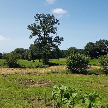 La Bastide Du Bonheur Chambres Et Tables D'Hotes Ger  Kültér fotó